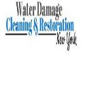 Water Damage Cleaning & Restoration - New York logo